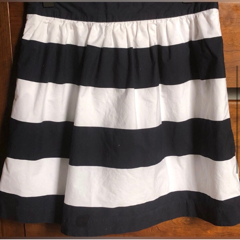 Banana Republic Navy and White Striped Pleated Lightweight Skirt